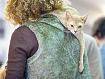 Cat_Back_5024.jpg