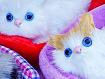 Kitten_Fluffies_01264.jpg