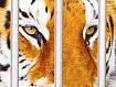 Tiger_Bars_9717.jpg