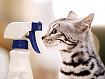 Cat_Sprayer_9769.jpg
