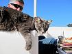 Cat_Breakfast_0876.jpg